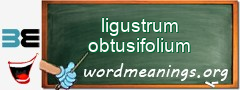 WordMeaning blackboard for ligustrum obtusifolium